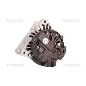 TRISCAN 8310 10079
