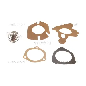 TRISCAN 8620-2982