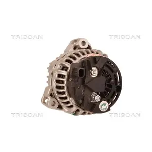8310 29013 TRISCAN