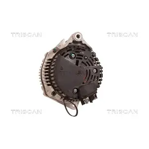 TRISCAN 8310 10132
