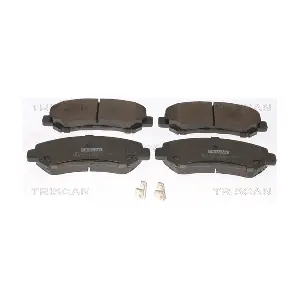 TRISCAN 8110 10577
