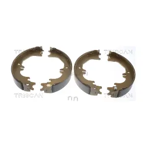TRISCAN 810013050
