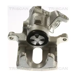TRISCAN 8175 15210