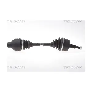 8540 29699 TRISCAN