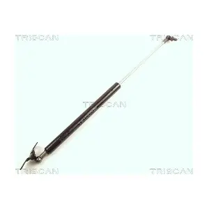 8710 21203 TRISCAN