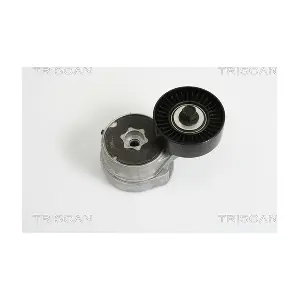 8641 163011 TRISCAN