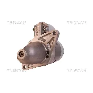 8305 10074 TRISCAN