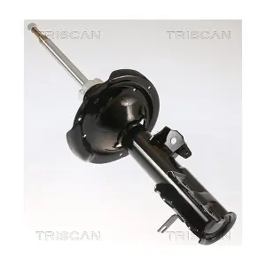 870543108 TRISCAN
