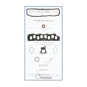 597-4255 TRISCAN