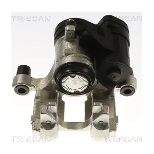 TRISCAN 8175 29268