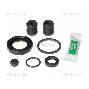 8170 203608 TRISCAN