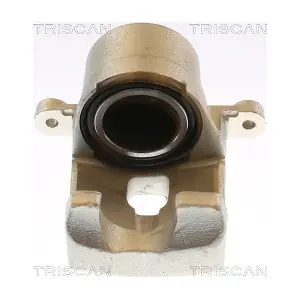 817513120 TRISCAN