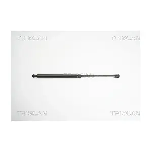 8710 43224 TRISCAN