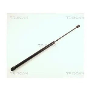 8710 16209 TRISCAN