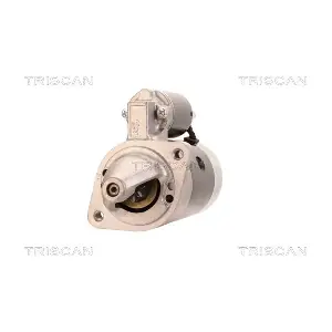 TRISCAN 8305 11012