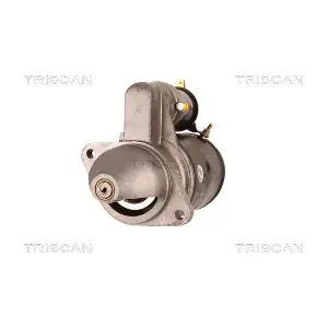 TRISCAN 8305 10012