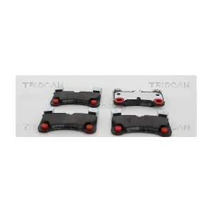 811029082 TRISCAN