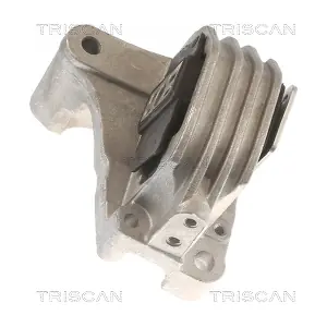 8505 27111 TRISCAN