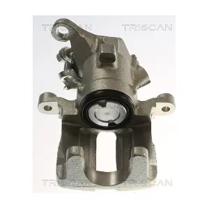 TRISCAN 8175 29274