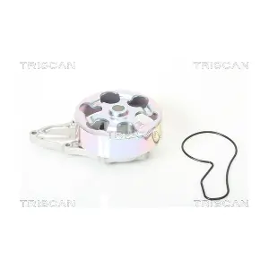 TRISCAN 860040011