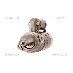 TRISCAN 8305 13003