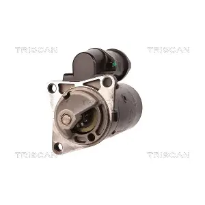 TRISCAN 8305 29004