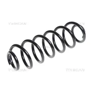 875029313 TRISCAN