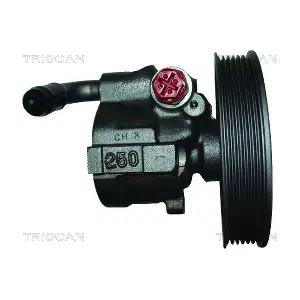 8515 24618 TRISCAN