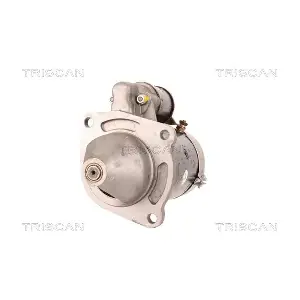 TRISCAN 8305 29044