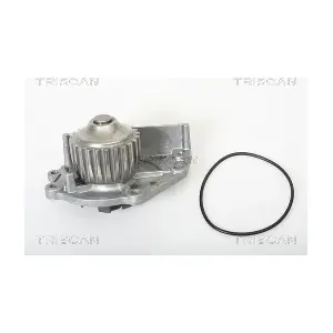 860017963 TRISCAN