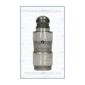 TRISCAN 80-29011