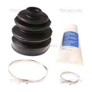 8540 42807 TRISCAN