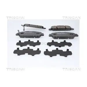 8110 43077 TRISCAN