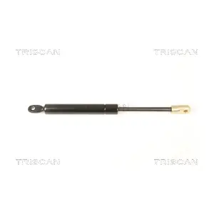 8710 20201 TRISCAN
