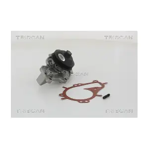 TRISCAN 860010081
