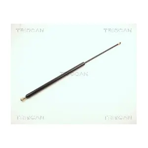 8710 1513 TRISCAN