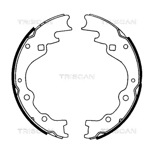 TRISCAN 810050461