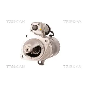 TRISCAN 8305 10013