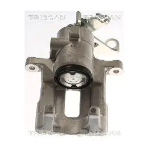 TRISCAN 8175 15213
