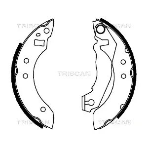 TRISCAN 810016355