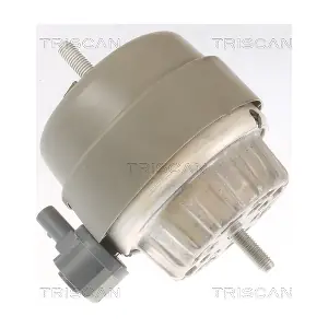 8505 29174 TRISCAN