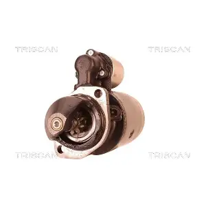 TRISCAN 8305 29062
