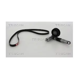 8642 29006 TRISCAN