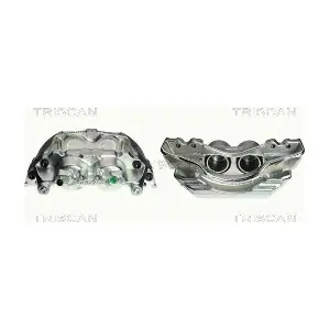 TRISCAN 8170341996