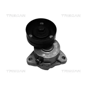 TRISCAN 8641 243003