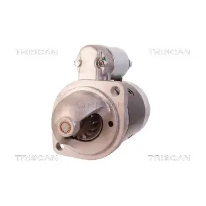 8305 43021 TRISCAN