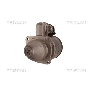 TRISCAN 8305 10054