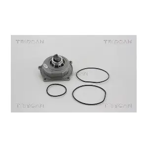 TRISCAN 860017011
