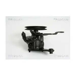 8515 24611 TRISCAN