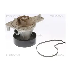 860011061 TRISCAN